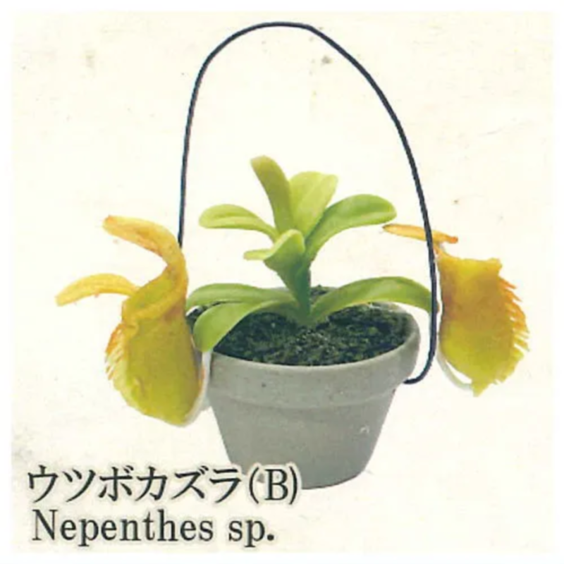 Japan Rainbow Gashapon Capsule - Capsule Toy Gashapon review and price