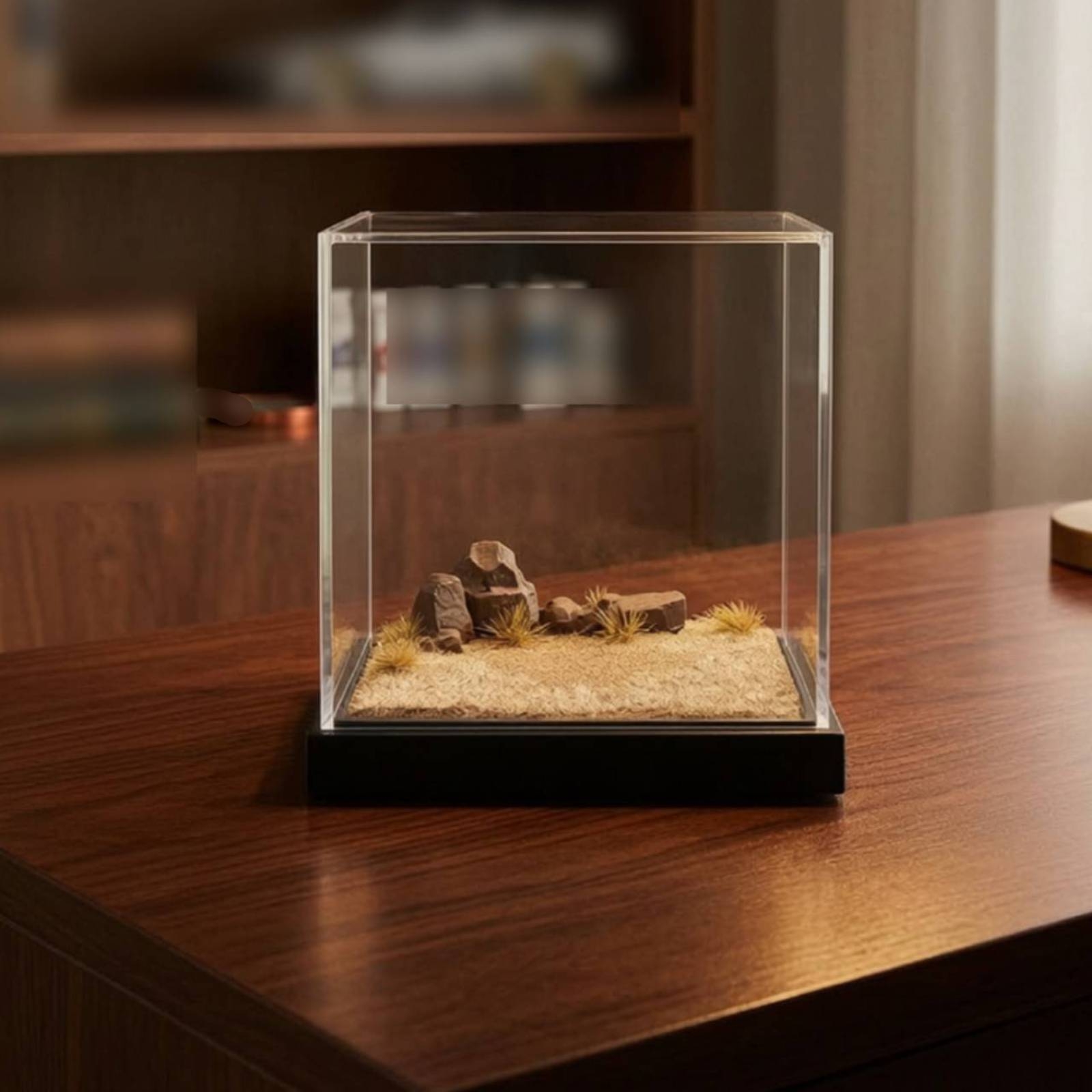 Miniature Scene Platform Clear - Display Case Acrylic review and price